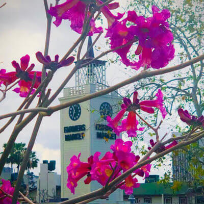Original Farmers Market, West Hollywood
